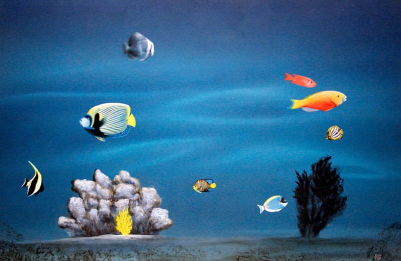 aquarium Aquarium