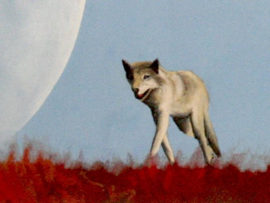 Der Wolf und der Regenbogen, Ausschnitt